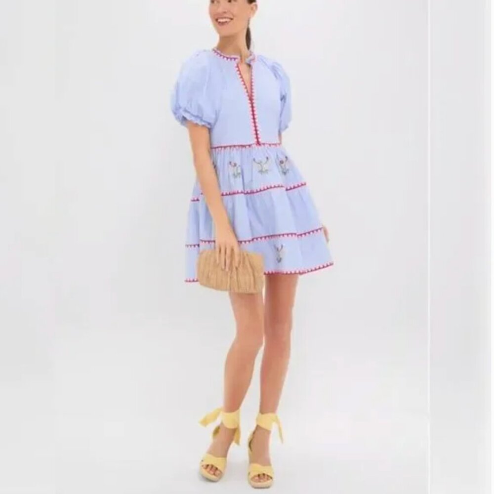 New with Tag Hyacinth House Blue Pinstripe Embroidered V-Neck Lillian Mini Dress